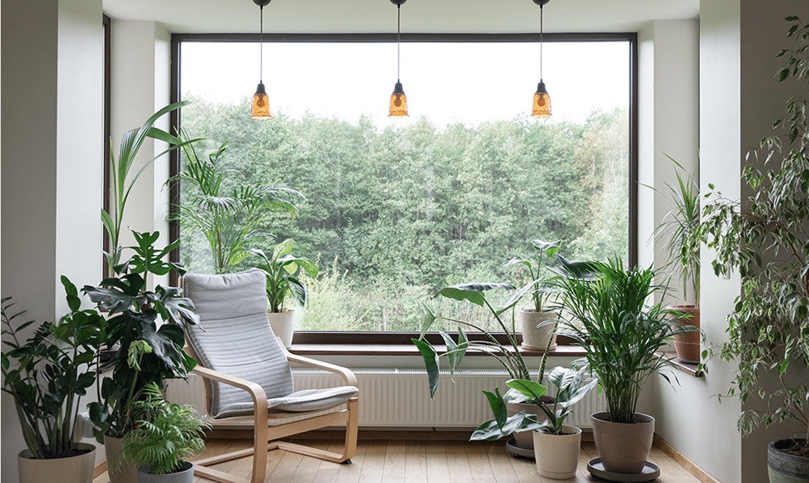 Rectangle 61-Feb-06-2025-10-33-44-6847-PM